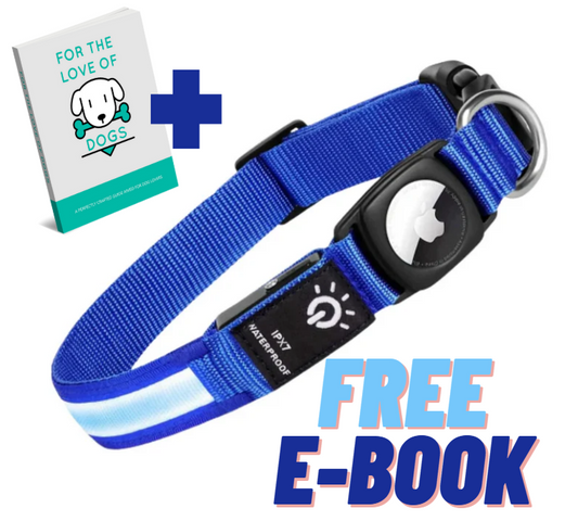Airtag LED Dog Collar